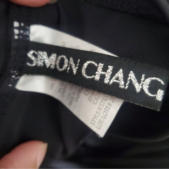 Simon Chang MESH layer 1 piece Swimsuit - Picture 6 of 7